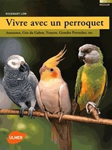 Vivre avec perroquet - perroquet,