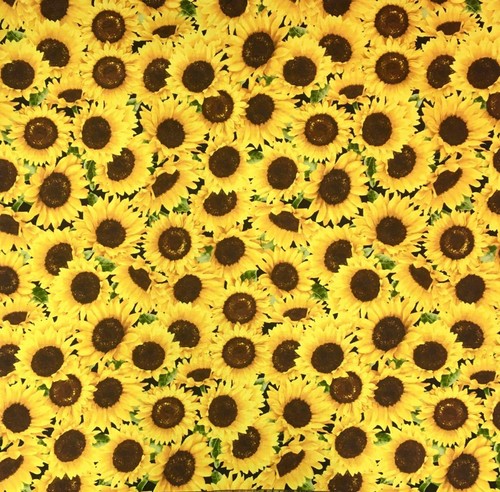 Tournesols bandana tête - tournesols,