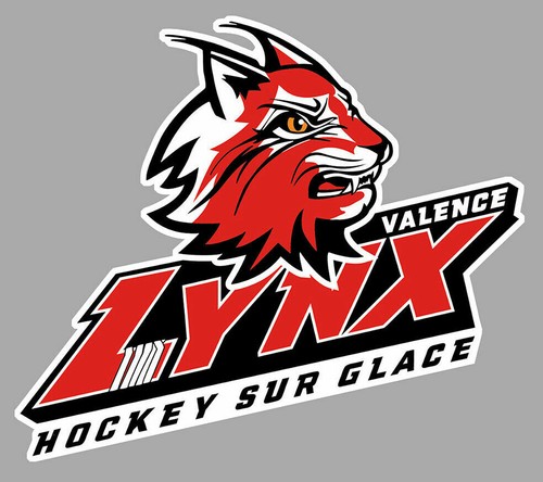 Sticker hockey sur glace - sur, ffhg