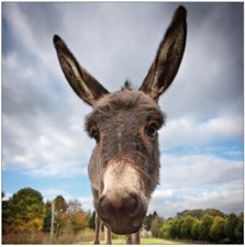 3 Stickers boites aux lettres