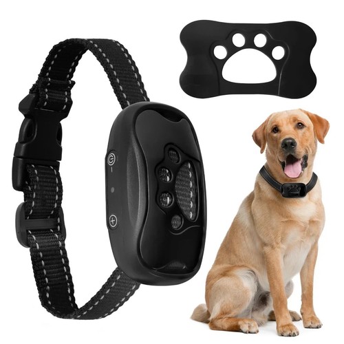 Collier anti aboiement chien - collier,