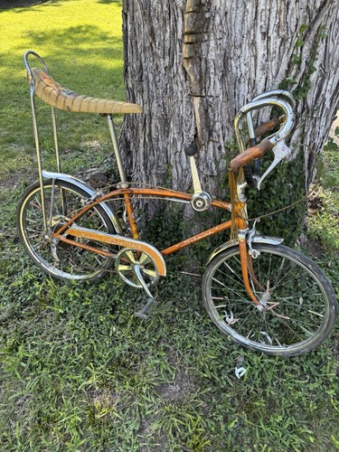 Schwinn coppertone rams - schwinn,