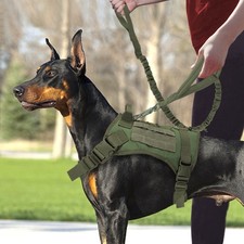 Avec Gilet D'entraînement Militaire Pour Animaux De Compagnie Vert À Laisse /