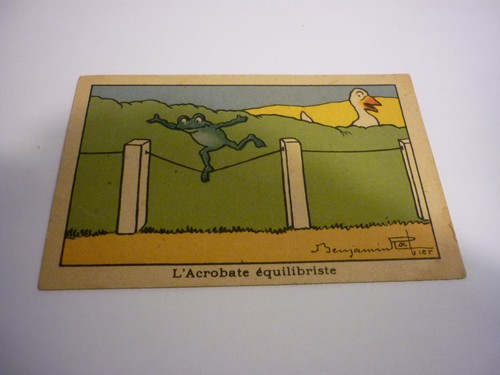 Image ancienne grenouille - ancienne,