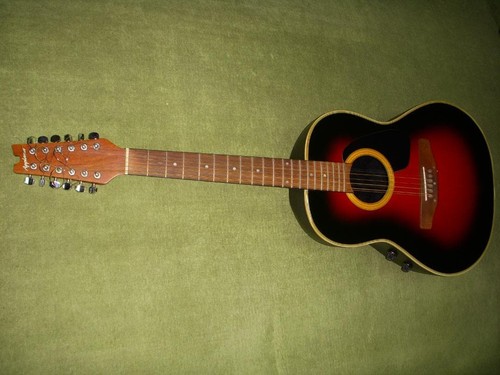 Guitare électrique acoustique