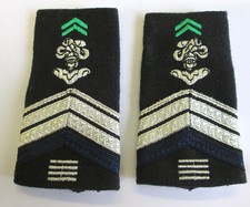 CHASSEURS A CHEVAL Brigadier-Chef de 1ere Classe 20 ans de service -  Fourreaux