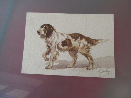 Aquarelle originale chien - originale,