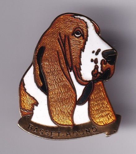 Rare pins pin - pins, ..