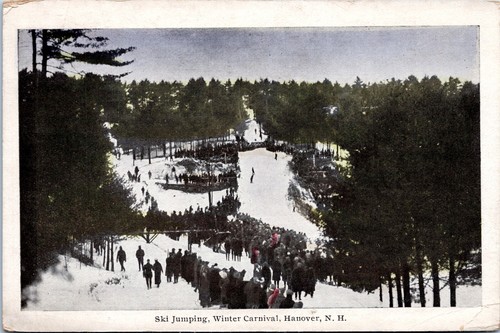 Ski jumping winter carnival - ski, jumping,
