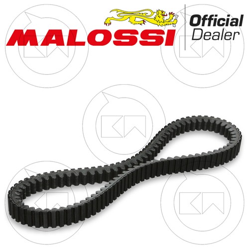 Malossi 6115125 courroie - malossi,