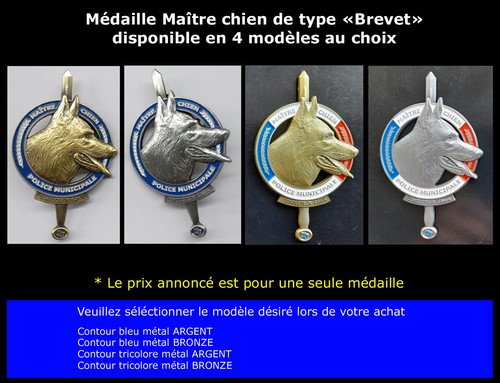 Médaille brevet insigne