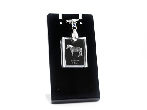 Haflinger poulain crystal - haflinger,