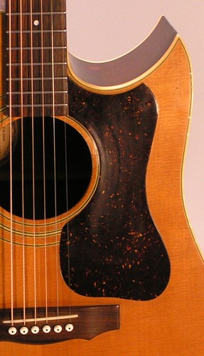 Pickguard type guild - pickguard, pan