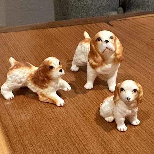 Vintage cocker spaniel - cocker, /