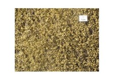 MININATUR Feuillage de saule