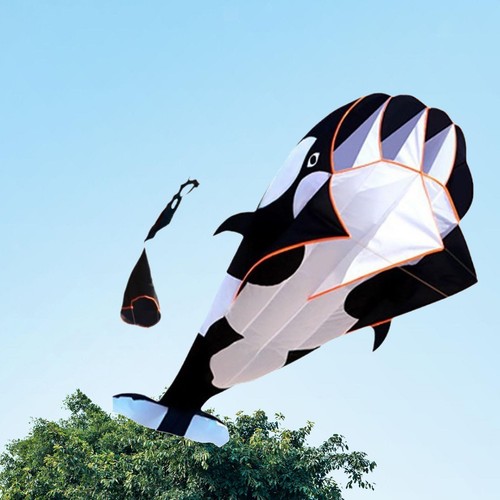 Cerf volant grand dauphin - 3d,
