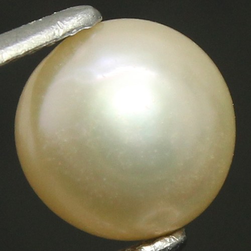 Perle ronde certifiée