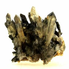 Quartz à Ame + Chlorite