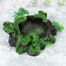  Gamelle Reptile Mangeoire