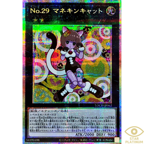 Numéro mannequin chat - 29, :