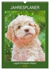 Planificateur annuel Lagotto Romagnolo chiots (Calendrier mural 2026 DIN A3 vert