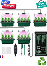 YAUNGEL Mini Serre pour