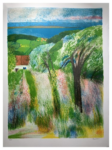Lithographie originale