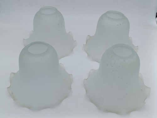 Lot tulipes verre - 4, dépoli