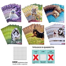 Chat Petit Chat Chien Chiot