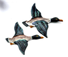 2 anciens canards en