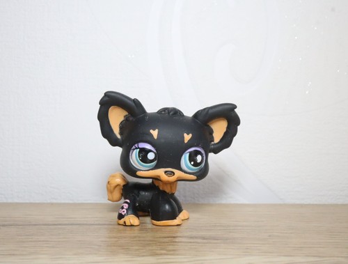 Littlest petshop chihuahua - petshop,