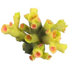  Aquarium Accessoires Décors