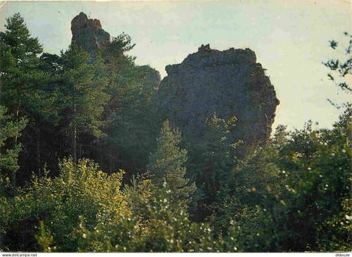 Carte postale - carte, 12