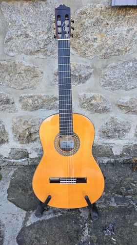 Guitare rumba flamenco - guitare,
