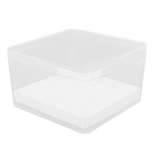  Boite A Specimen Insecte