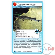 Carte Défis Nature Protect