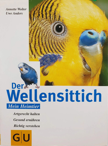 Perruche ondulée mon - le,