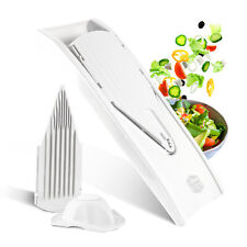 BÖRNER V1 set de base