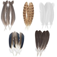 Lot de 20 plumes décoratives