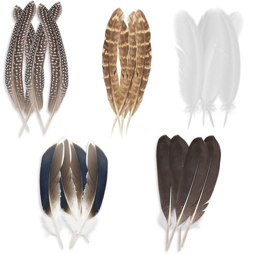 Lot plumes décoratives - plumes,