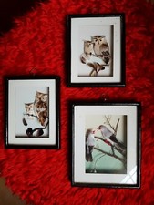 ANCIENS CADRES SÉRIGRAPHIE CHOUETTE HIBOUX OISEAUX PLUME 3D RELIEF