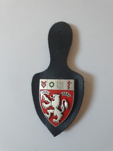 Insigne militaire 22e ri - militaire,
