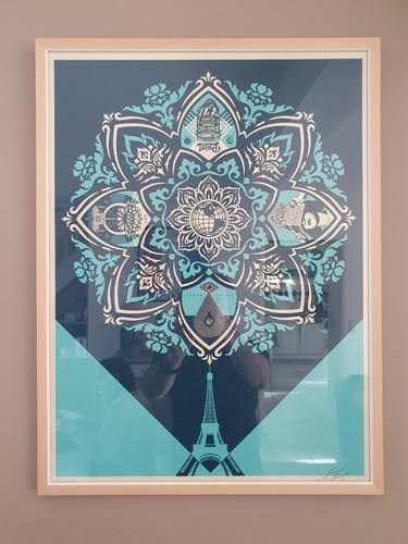 Shepard fairey obey a - –,