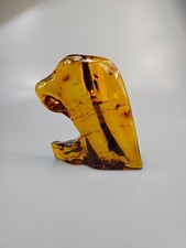 Insecte ambré. Beaucoup de