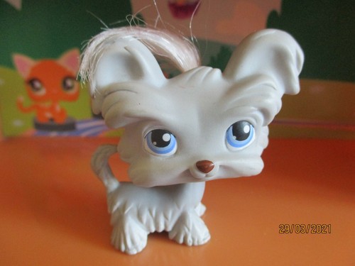 Petshop chien yorkshire 227 - petshop, #227/
