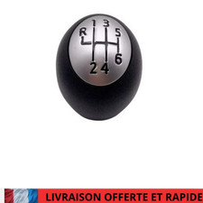 POMMEAU DE LEVIER 6 VITESSE