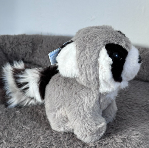 Peluche raton laveur nounours - peluche,