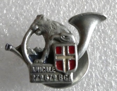 Chasseurs alpins amicale augis - alpins,