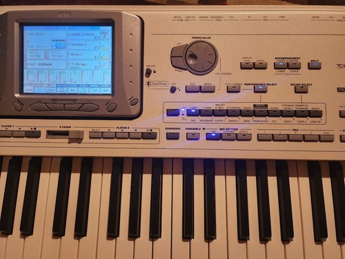 Korg pa2xpro professional - pa2xpro,