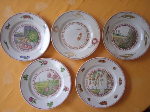 Assiettes plates moulin des - 5,